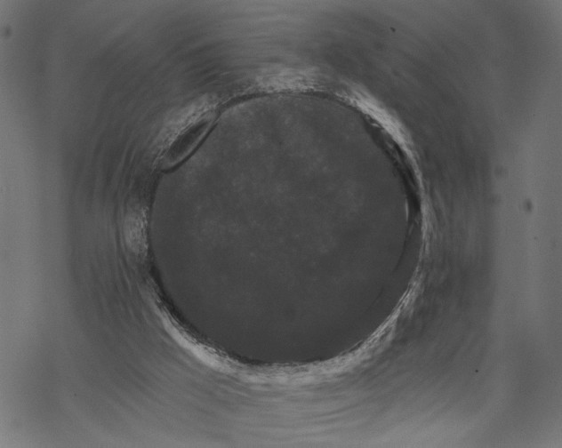 X0000067920009200605041721