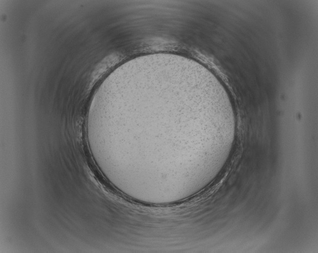 X0000067920010200605041721