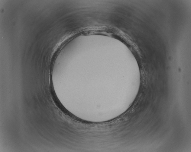 X0000067920011200605041721