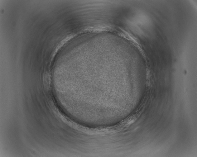 X0000067920012200605041721