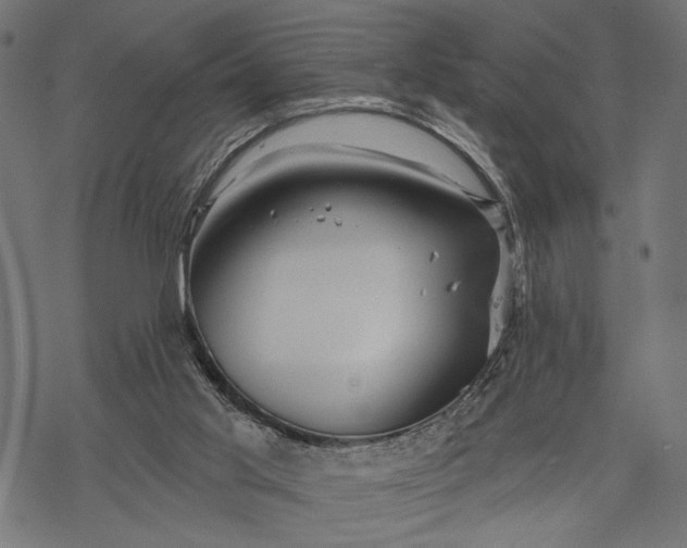 X0000067920013200605041721