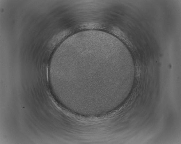 X0000067920014200605041721