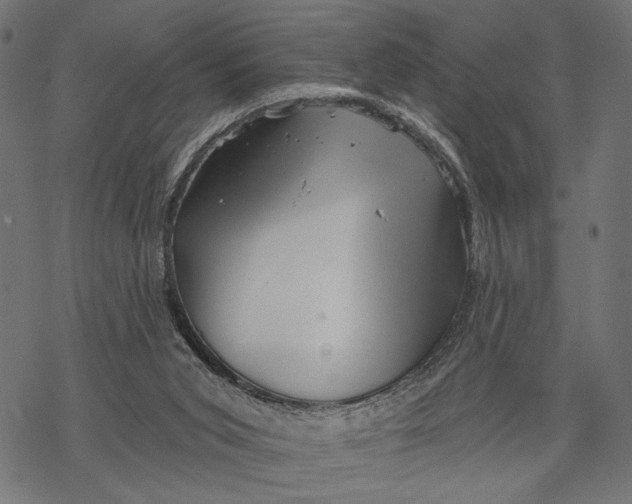 X0000067920015200605041721