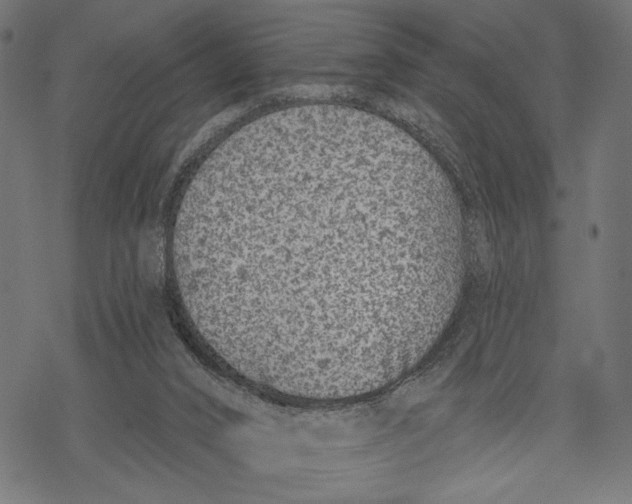 X0000067920016200605041721