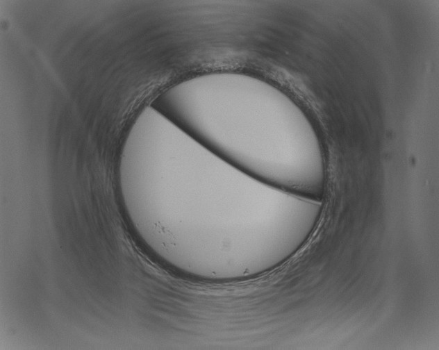 X0000067920017200605041721