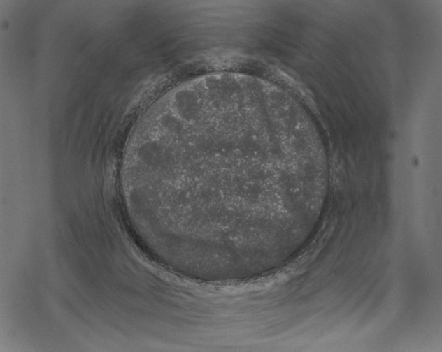 X0000067920018200605041721