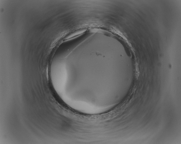 X0000067920019200605041721