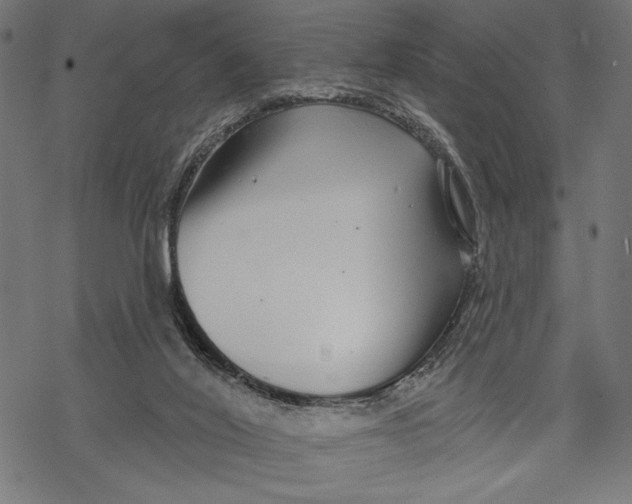 X0000067920020200605041721