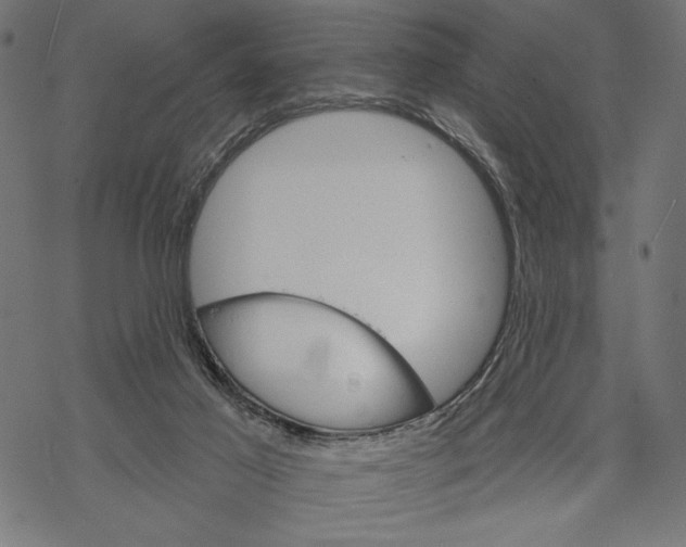 X0000067920021200605041721