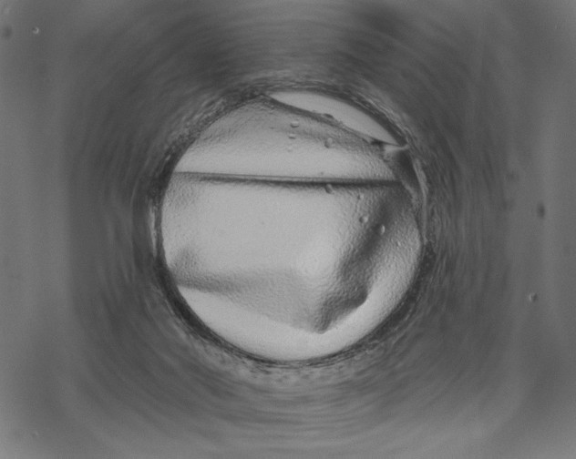 X0000067920022200605041721