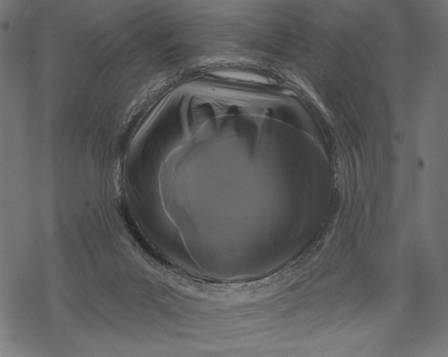 X0000067920023200605041721