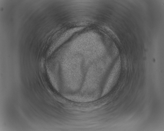 X0000067920026200605041720