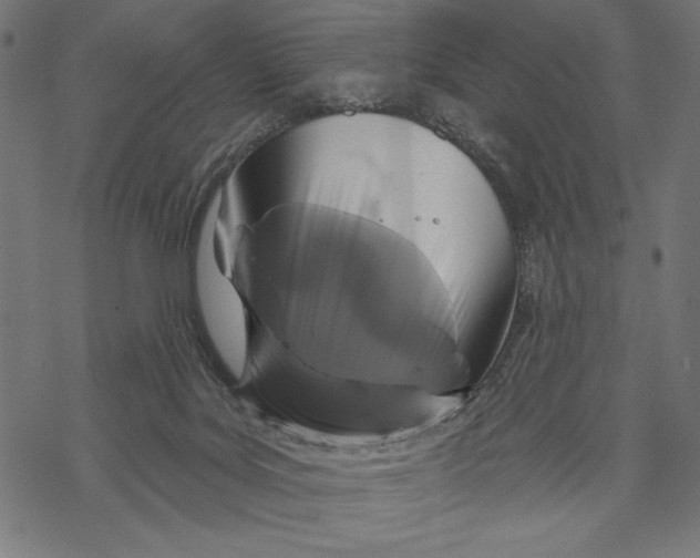 X0000067920027200605041720