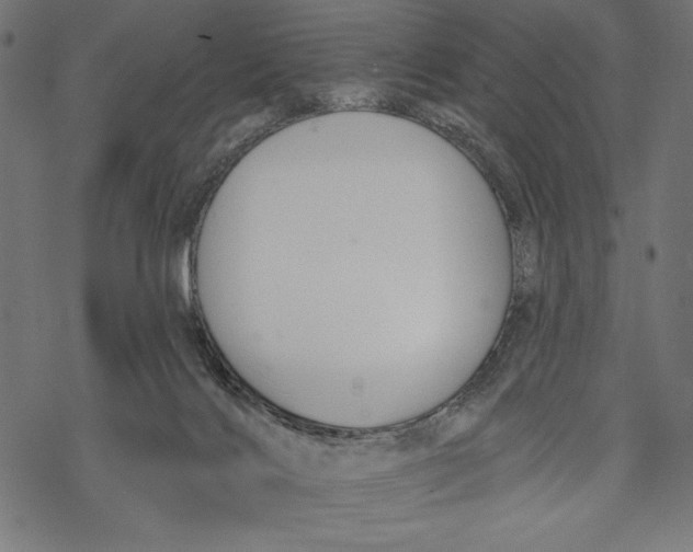 X0000067920028200605041720