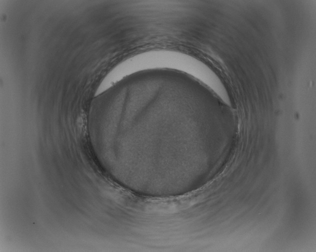 X0000067920029200605041720