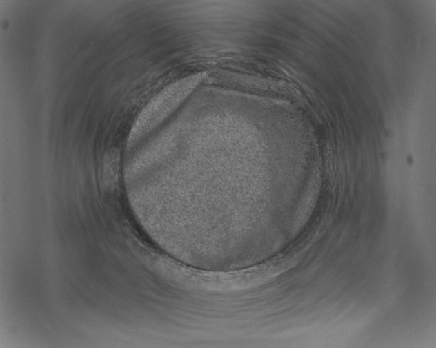 X0000067920030200605041720