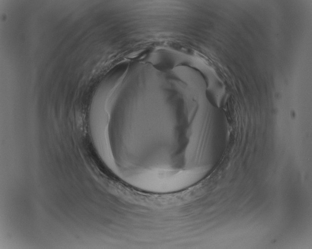X0000067920031200605041720
