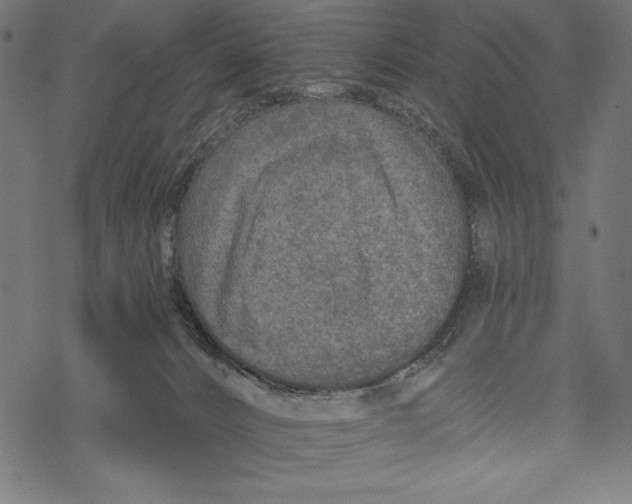 X0000067920032200605041720