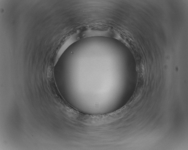 X0000067920037200605041720