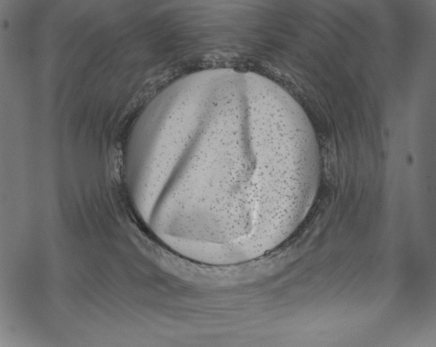 X0000067920038200605041720