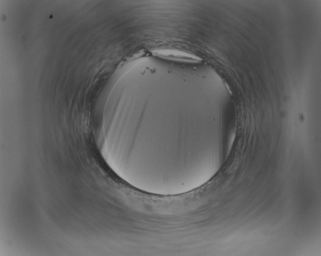 X0000067920039200605041720