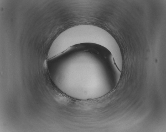 X0000067920041200605041720