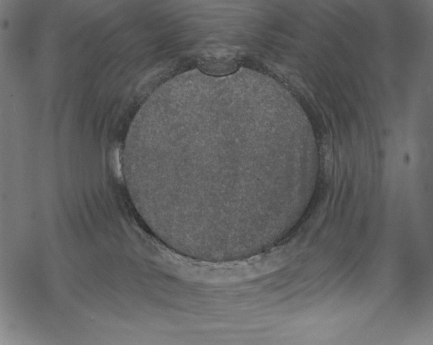 X0000067920042200605041720