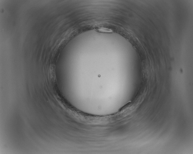 X0000067920044200605041720