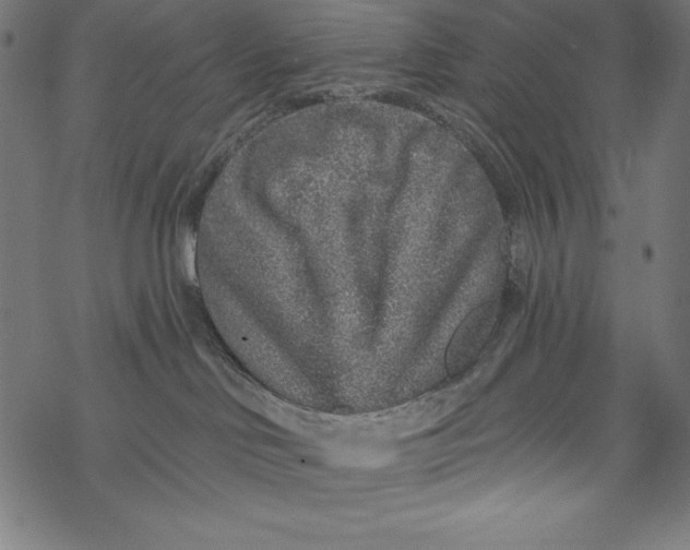 X0000067920046200605041720