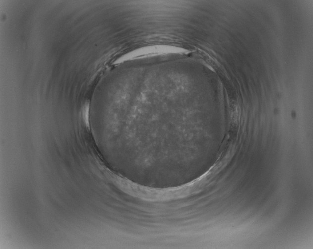 X0000067920047200605041720