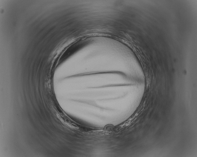 X0000067920050200605041719
