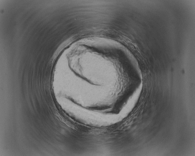 X0000067920051200605041719