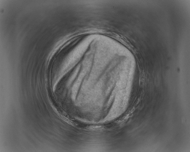X0000067920055200605041719