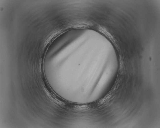 X0000067920058200605041719