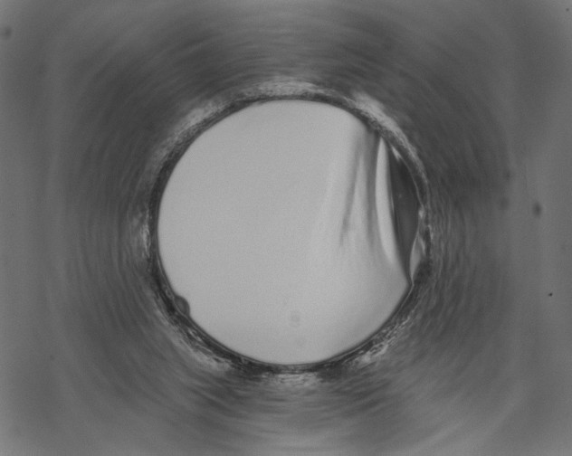 X0000067920063200605041719