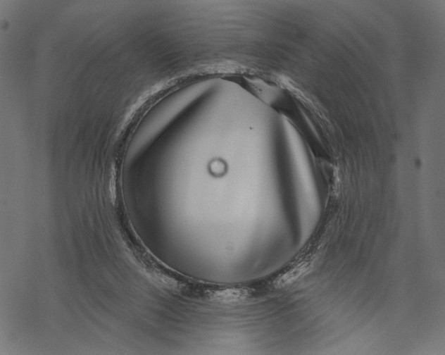 X0000067920064200605041720