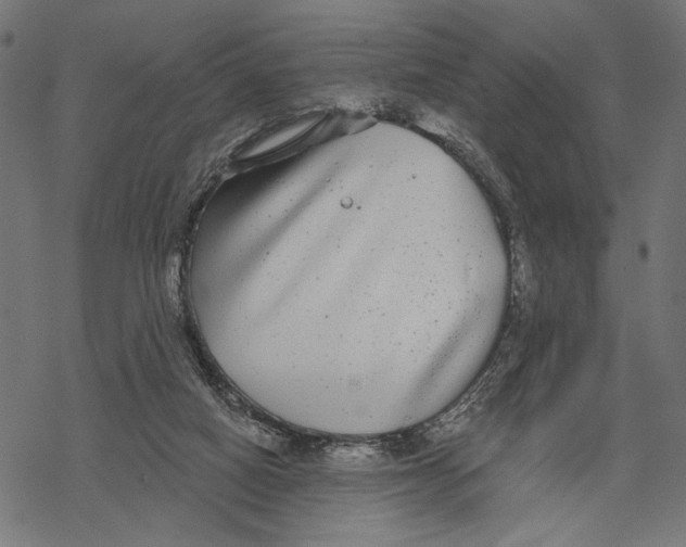 X0000067920066200605041720