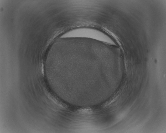 X0000067920067200605041720