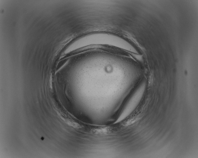 X0000067920068200605041720