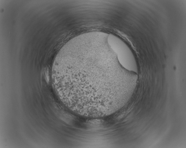 X0000067920069200605041720