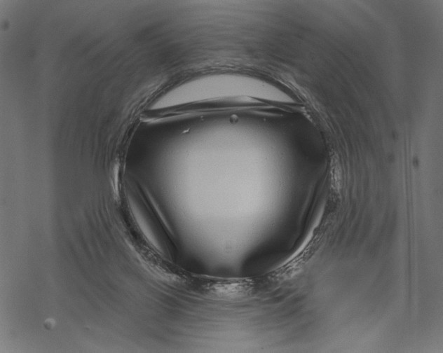 X0000067920070200605041720