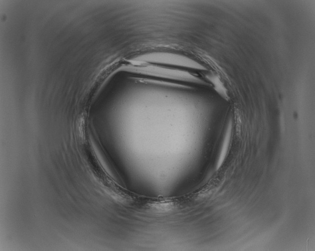 X0000067920071200605041720