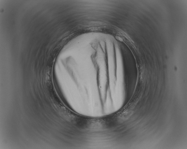 X0000067920073200605041720