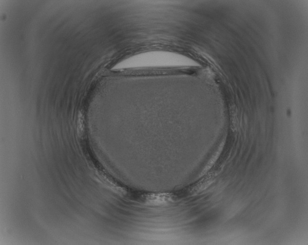 X0000067920077200605041720