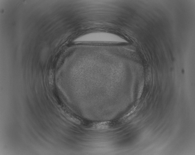 X0000067920078200605041720