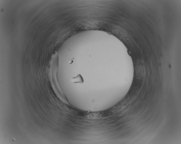 X0000067920079200605041720