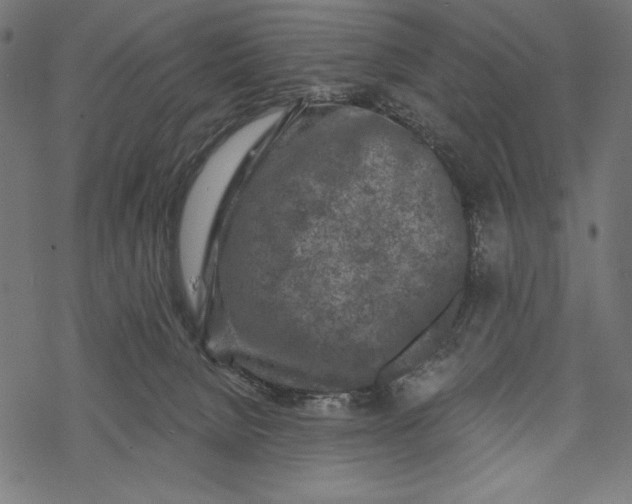 X0000067920080200605041720