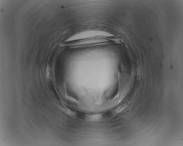 X0000067920081200605041720