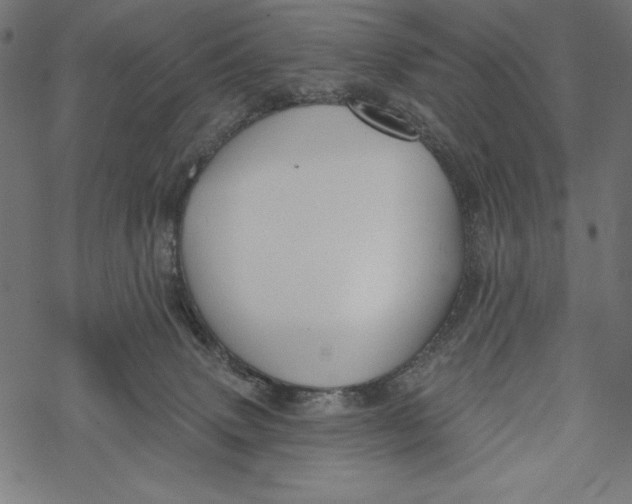 X0000067920083200605041720