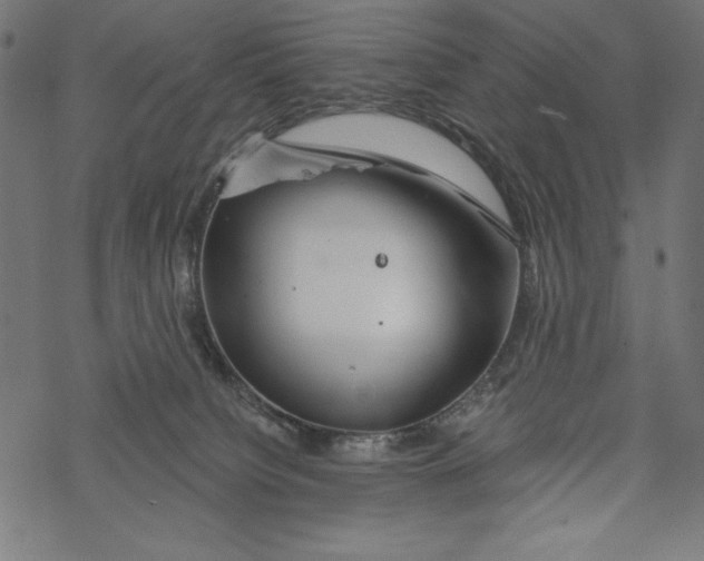 X0000067920084200605041720